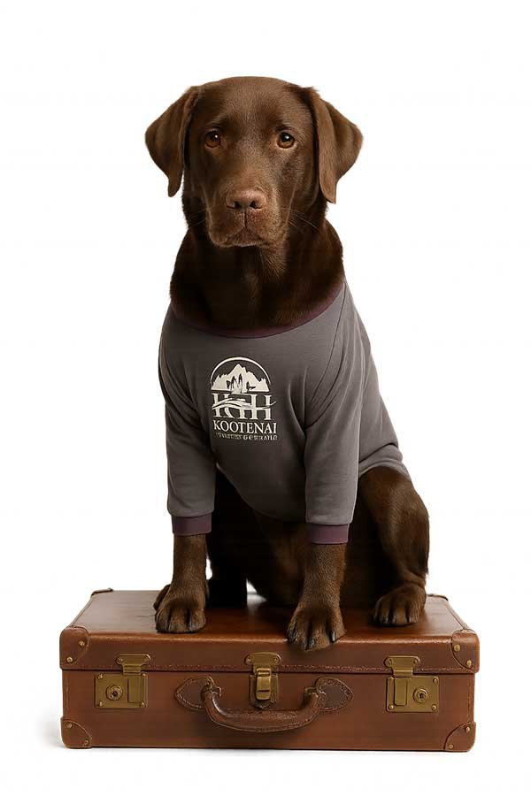 Dog boarding facility exterior view